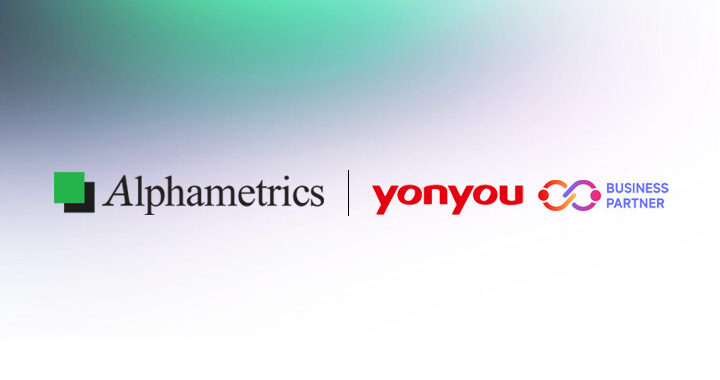 Alphametrics-yonyou-Partnership